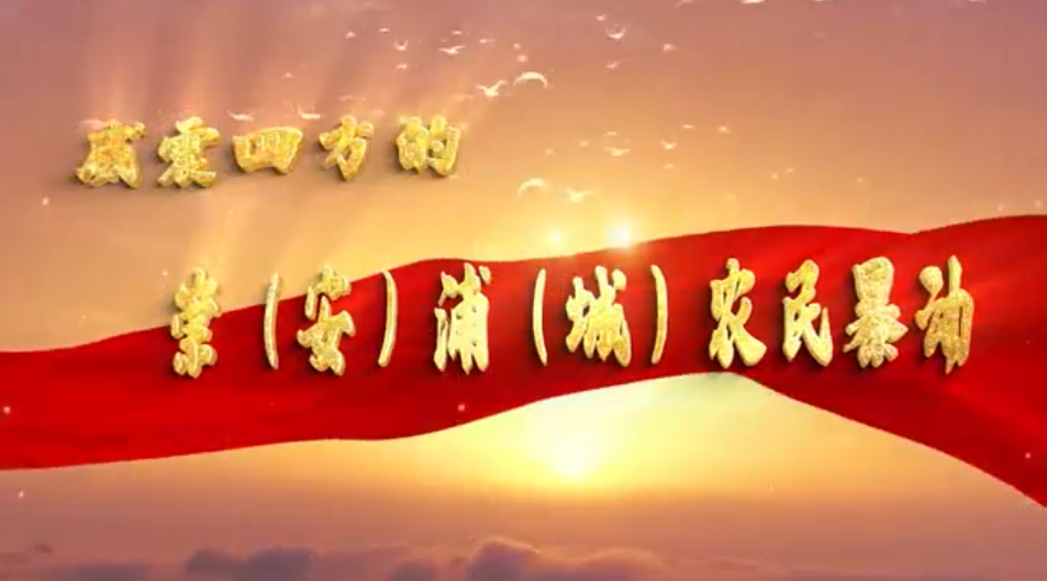 红色闽北||威震四方的崇（安）浦（城）农民暴动