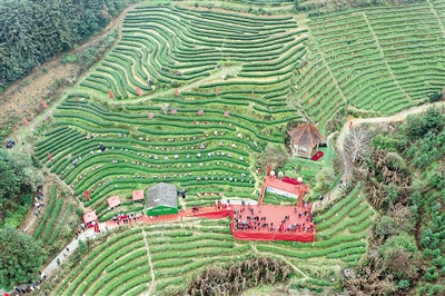 2.建瓯北苑御焙遗址开展以“传承北苑非遗 赓续万里茶道”为主题的惊蛰喊山活动.jpg