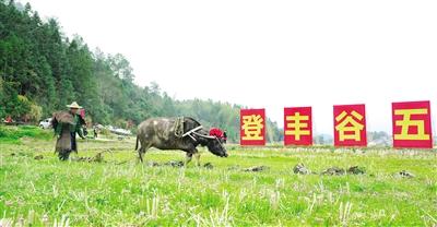 8.开犁仪式.jpg