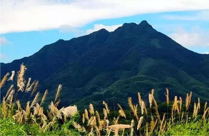 东流山高地.png